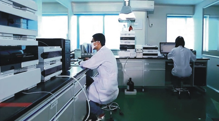 桂仁硒片生產基地