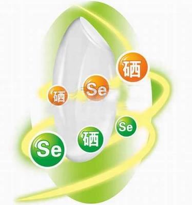 元素平衡醫學的發展、變革、應用