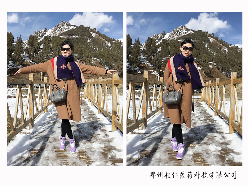 桂仁美女領導甘肅雪上照