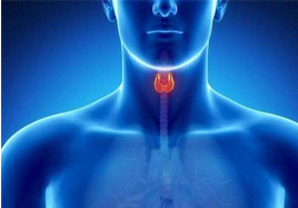 檢查出甲狀腺結節怎么辦