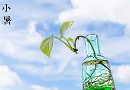 農歷丁酉年六月十四 星期五 小暑