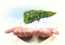 乙肝發病原因之一 肝臟缺少硒化卡拉膠