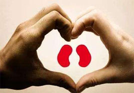 男人腎臟不好，從養腎開始吧!