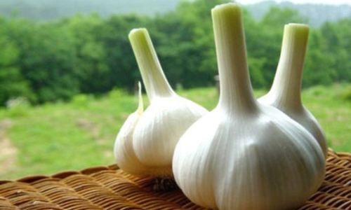 含硒高的食物有哪些？