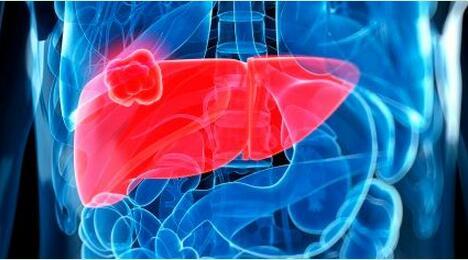 為什么養肝需要補硒？生活中如何保肝護肝？