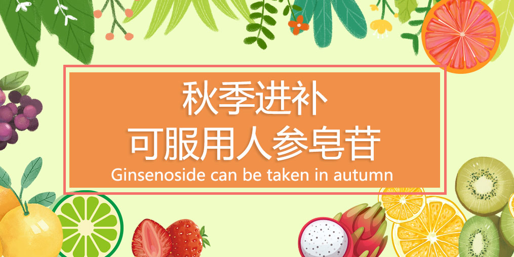 秋季進補最佳時，可適當服用人參皂苷嗎？