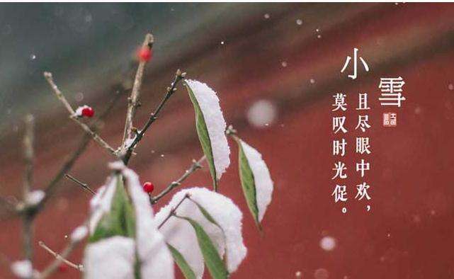 今日小雪 | 節氣養生注意“外防濕冷、內防燥熱”