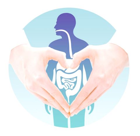 補硒科普：保護胃的前提，你可知道誰是罪魁禍首？