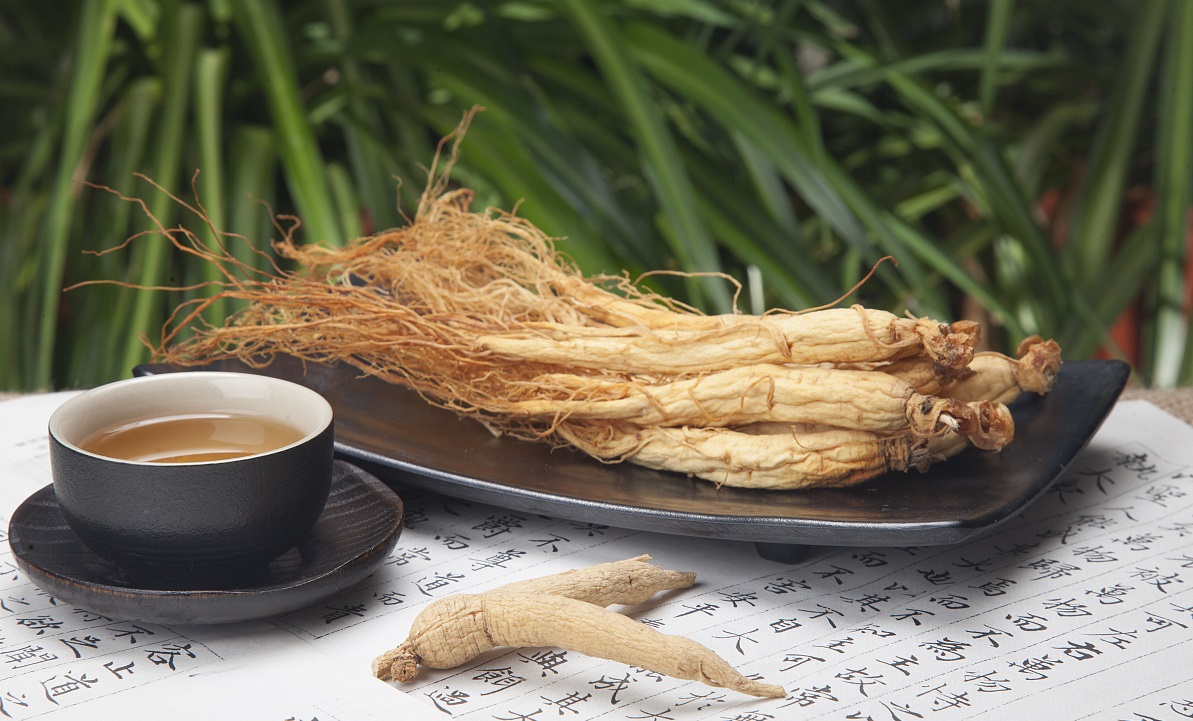 經常嗜睡，吃人參皂苷有用嗎