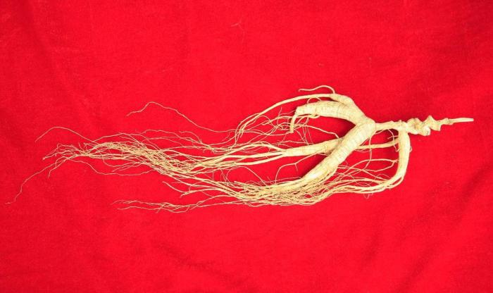 人參皂苷Rh2和靈芝孢子粉, 誰是更優選?