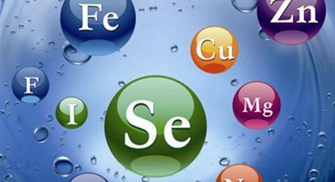 老人想要不生病，5種元素少不了！別只知道維生素