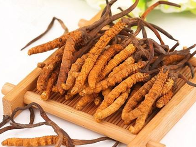 蟲草素？冬蟲夏草里的蟲草素是什么？