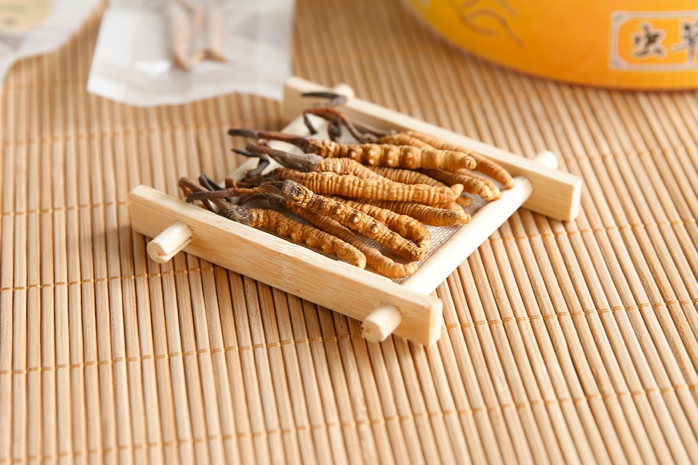 冬蟲夏草的適宜人群及注意事項