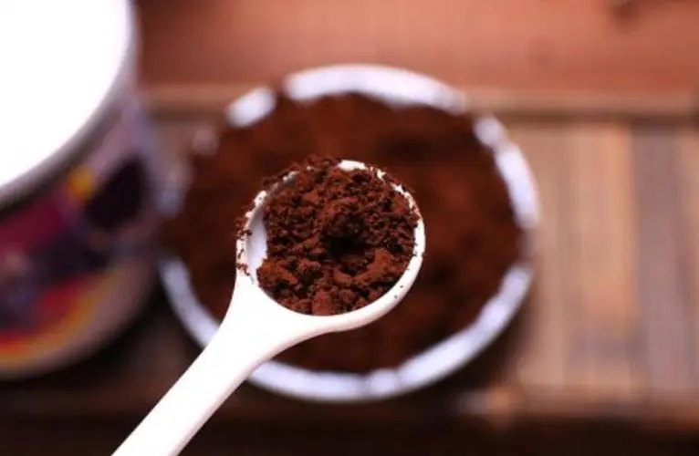 靈芝孢子粉所含的營養元素都有什么？