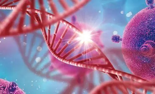 為什么說癌癥病人需要補硒？