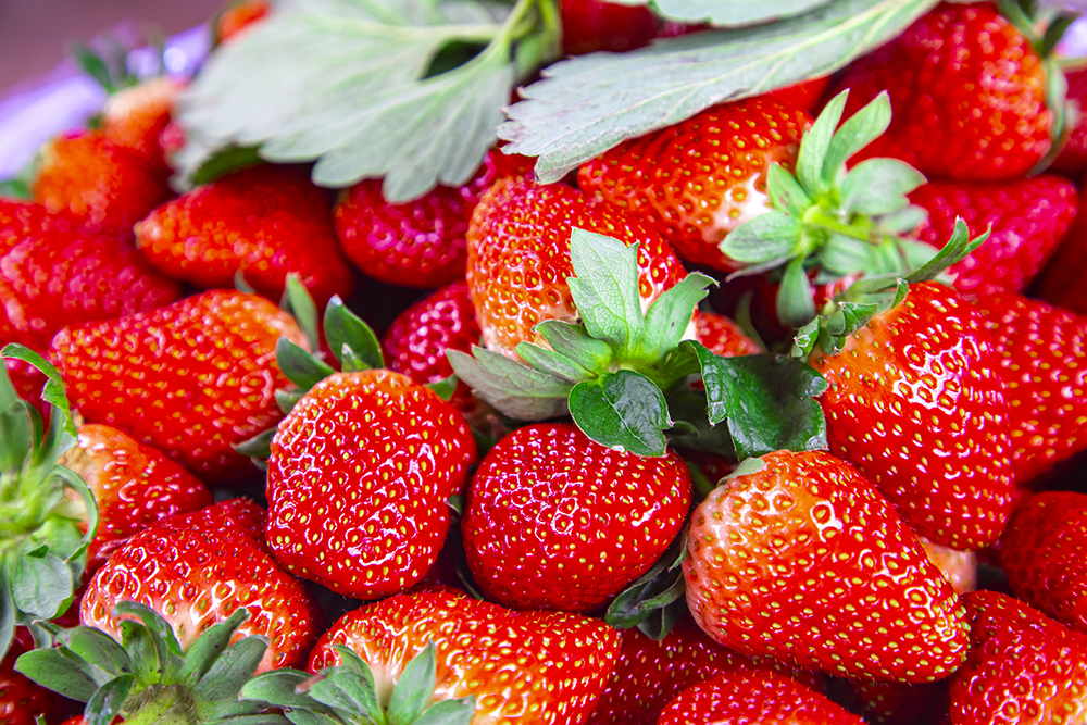 常見的含維e最多的水果蔬菜