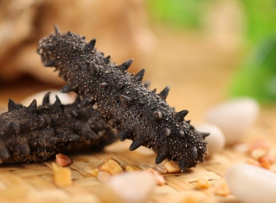 出現便秘還可以繼續食用海參嗎？