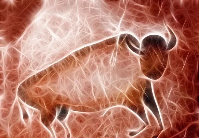 牛磺酸到底對人體神經系統有什么好處？