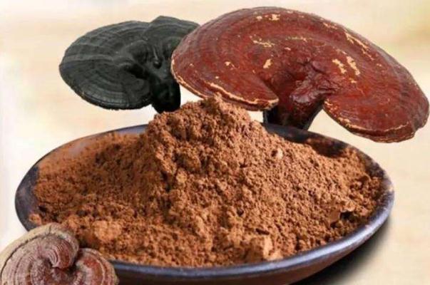 感冒能吃靈芝孢子粉嗎？不確定的人趕緊看看