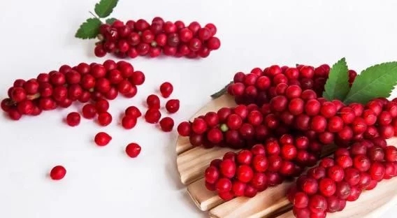 五味子的藥性搭配，五味子好，但這2類人不宜食用