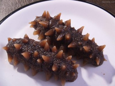 冬季滋補養生，多吃海參會上火嗎？