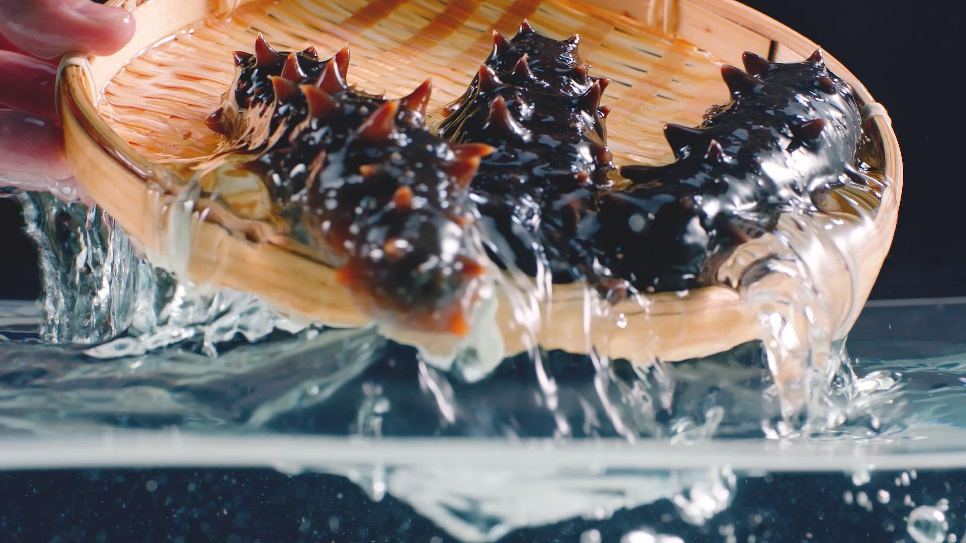 春天為什么要吃海參？