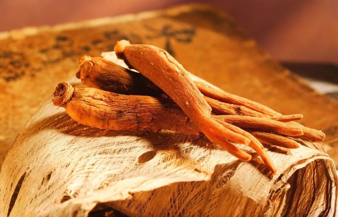 西洋參有什么價值？中醫告訴你