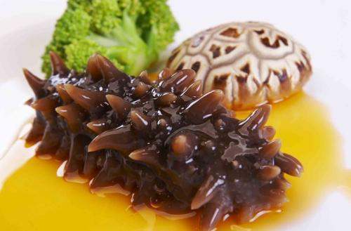 關于海參的冷知識，您知道嗎？