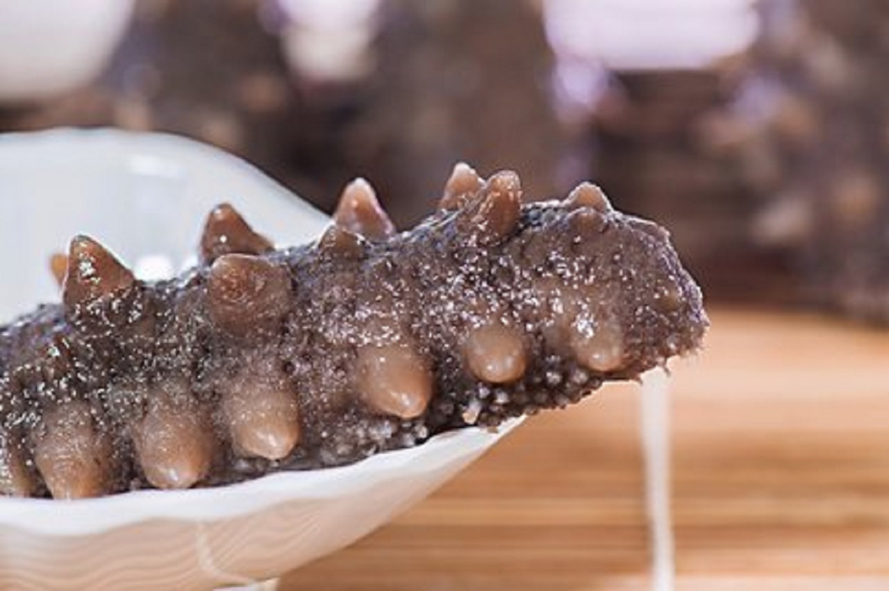 海參的營養價值都適合誰來吃？