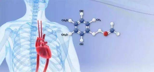 營養素補充劑——輔酶Q10