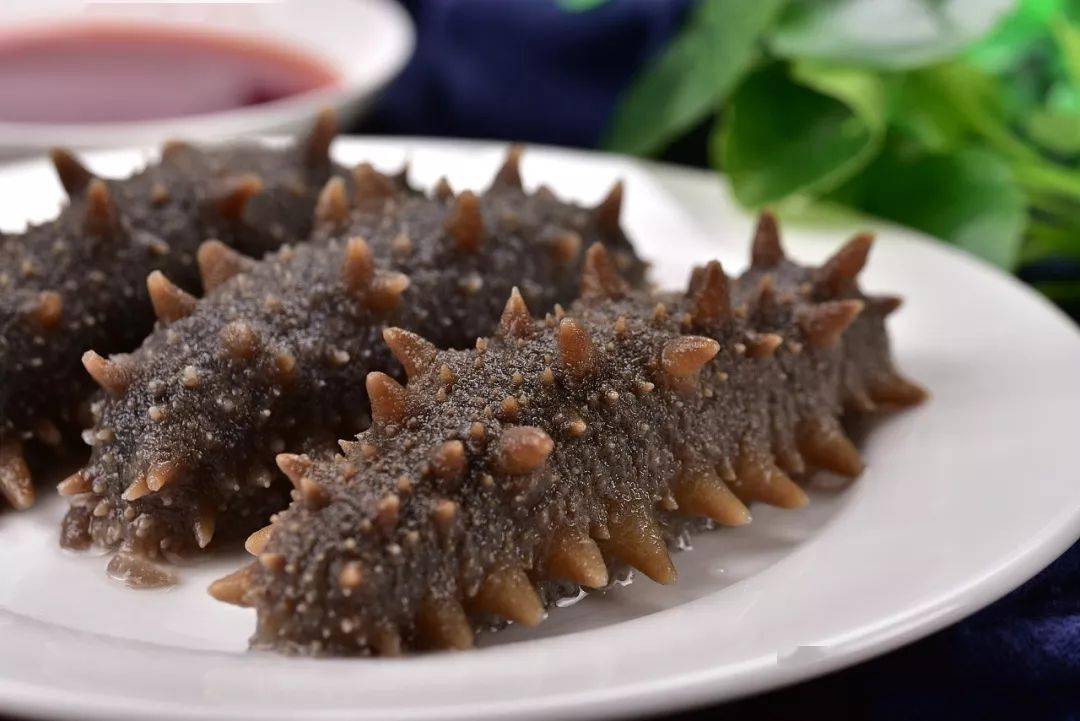 夏季能不能吃海參滋補身體呢？