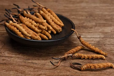 夏季適合進補冬蟲夏草嗎？