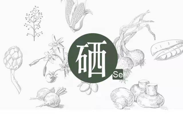 硒的幾種分類，你補對了嗎？