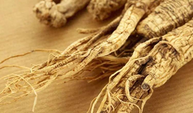 西洋參補氣滋陰，但有3類人不適合，千萬要注意！