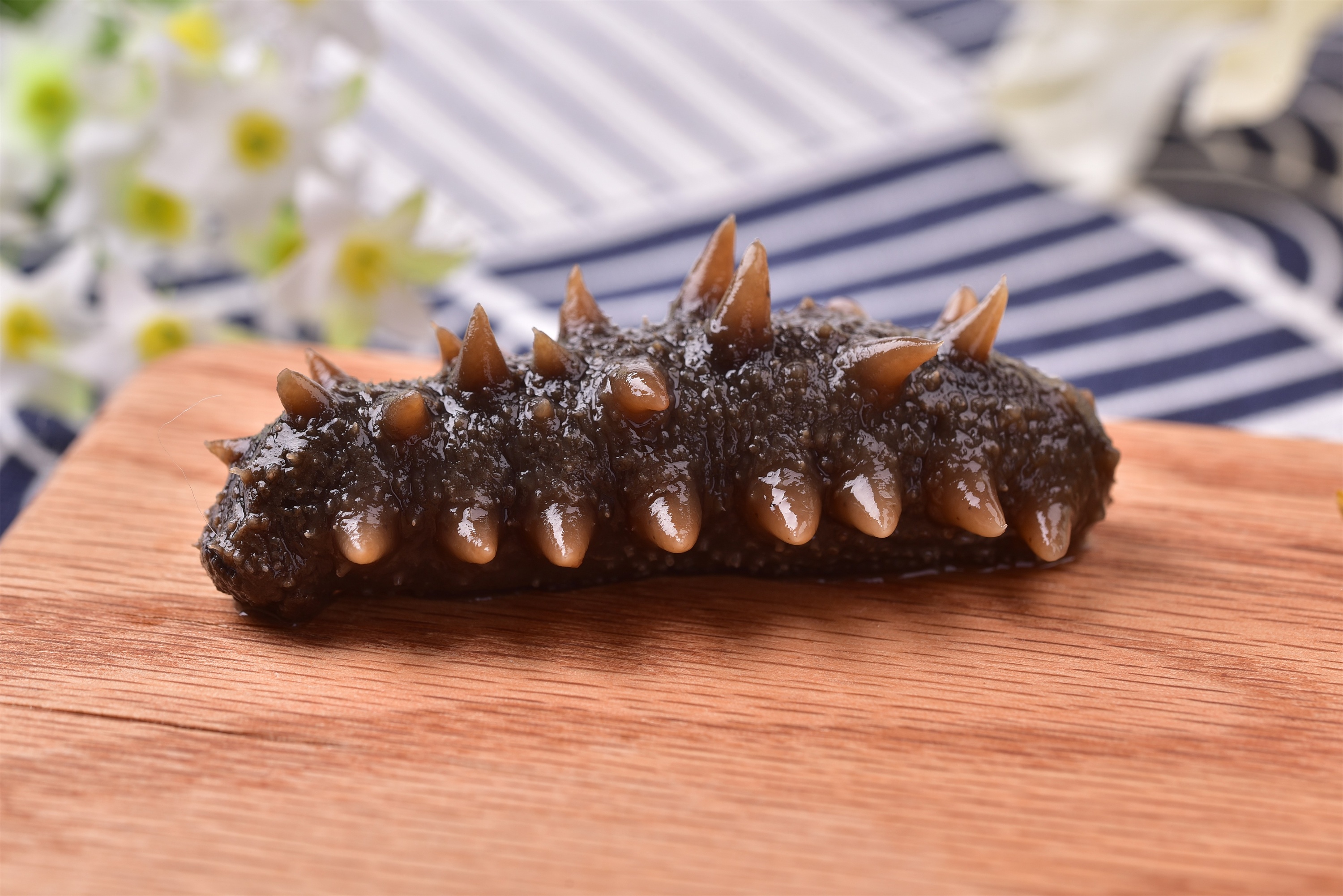 海參：營養寶庫與健康的守護者