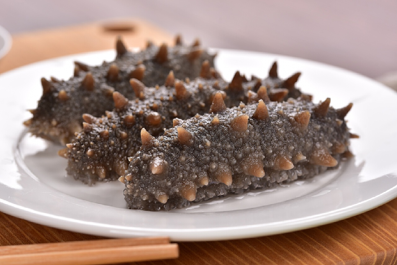 夏季養生，海參為何成為優選？ 