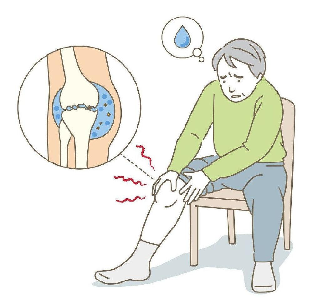 氨糖是軟骨“保護劑”，長期服用可以修復關節？