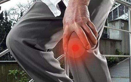 氨糖：守護關節健康的天然衛士