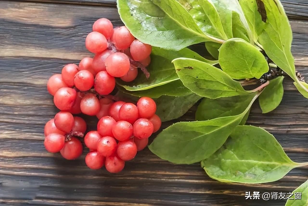 糖尿病與五味子之間有什么關系呢？