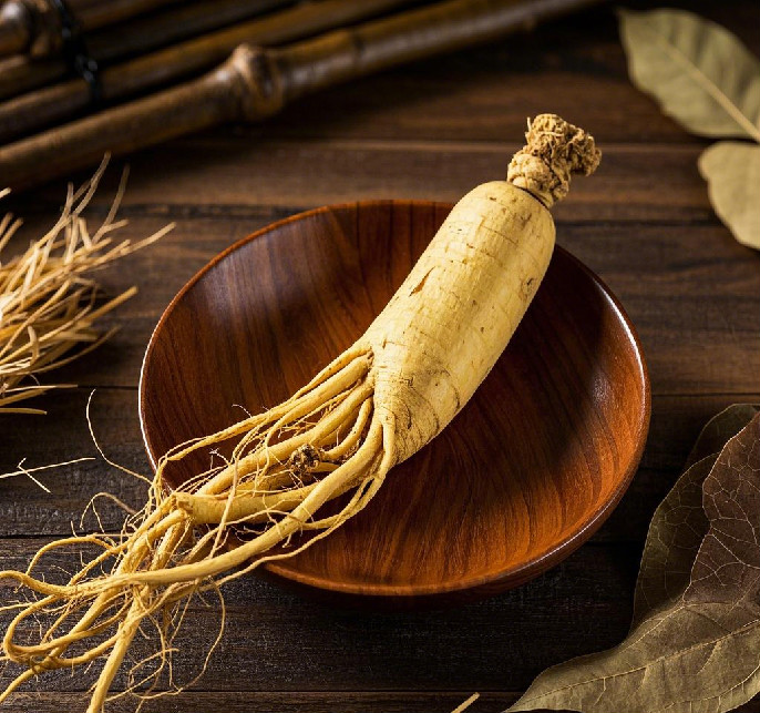 人參 —— 藏在深山的養生瑰寶