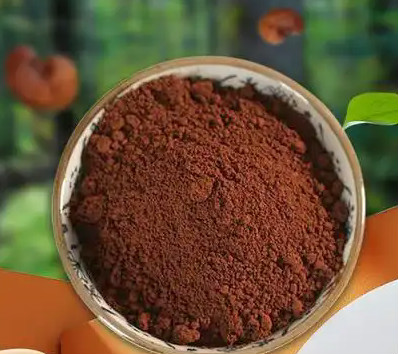 靈芝孢子粉：千年仙草的現代健康密碼