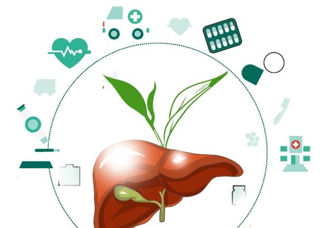 春季養肝正當時